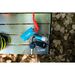 SplashFlash LED Light